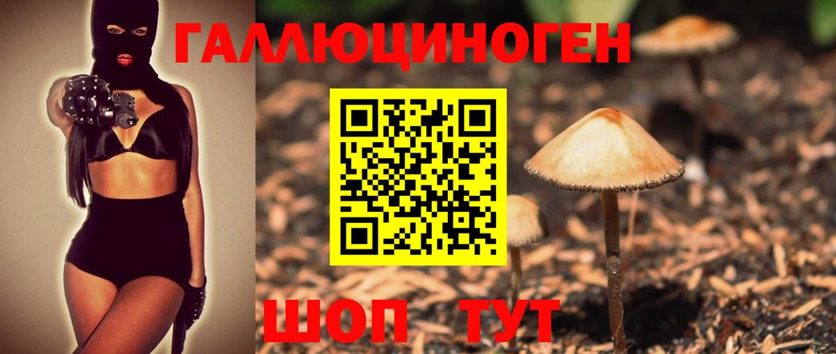 Обь  Псилоцибиновые грибы Psilocybine cubensis  Вход с VPN 